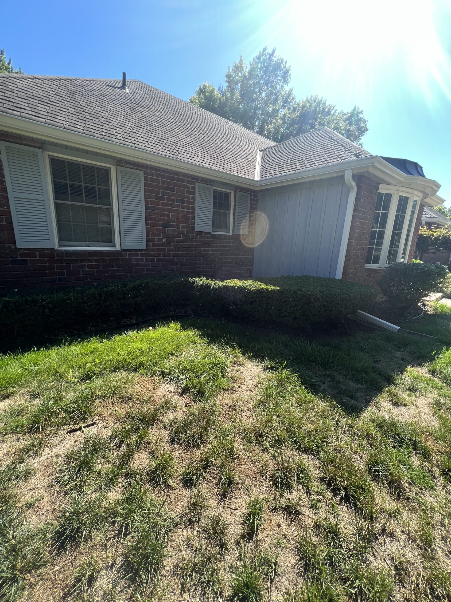 Shrub Trimmer in Overland Park